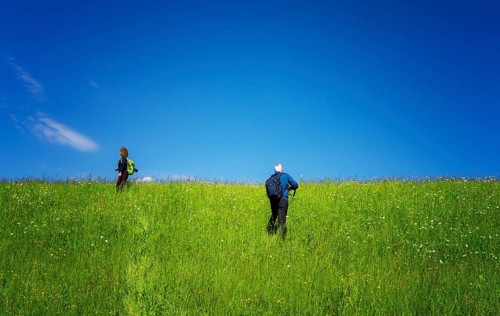 Hiker in a meadow on a mountain, Bad Vigaun, Austria, Europe