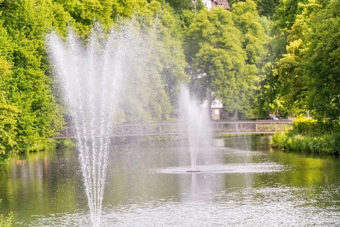 Water fountains bubble in a tranquil lake, surrounded by lush greenery and a bridge path in the