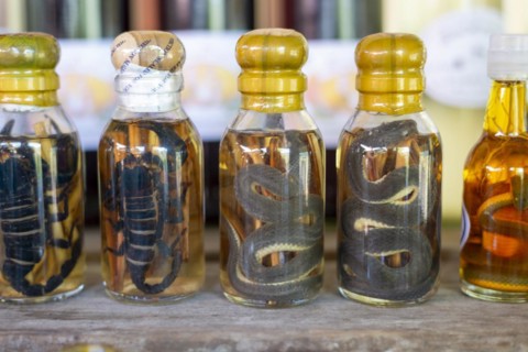 Choum, rice liquor, rice wine with pickled scorpions and snakes for sale, Laos, Asia