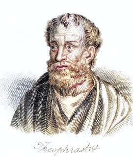 Theophrastus, 372 BC, 287 BC Greek philosopher and naturalist, Historical, digitally restored