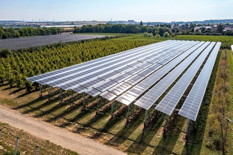 Agri-photovoltaic test plant, an apple orchard with two different systems of PV modules was roofed