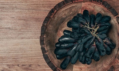 Bunch of black grapes, kishmish variety, black finger, ophelia, Annushka