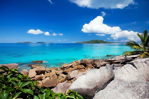 La Digue, Palm tree beach, Seychelles, Indian Ocean, Palm trees, La Digue, Indian Ocean,