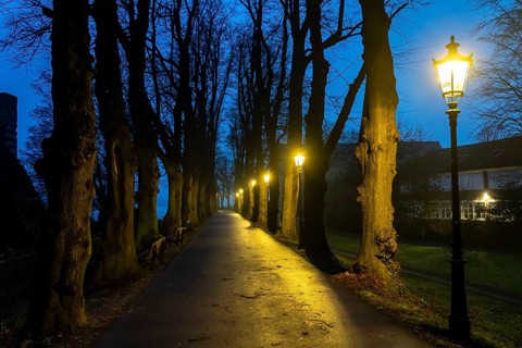 The Burgallee in Düsseldorf-Kaiserswerth, tree-lined avenue, at the old imperial palace, on the