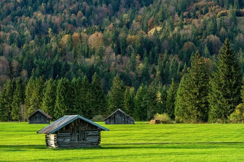 Green meadow with log cabins, wooden hay huts, forest, mountain, Wallgau, Upper Bavaria, Bavaria,