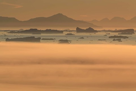 Icebergs in the fog, midnight sun, summer, Ilulissat, Ilulissat Icefjord, Disko Bay, West