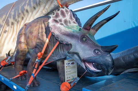 Large dinosaur figure (Triceratops) attached to a heavy goods vehicle with straps, Lauf an der