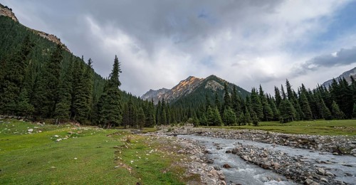 Green mountain valley with forest and mountain stream, Chong Kyzyl Suu Valley, Terskey Ala Too,