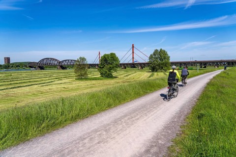 Rhine meadows near Duisburg-Beeckerwerth, footpath, cycle path on the Rhine dyke, cycle path,