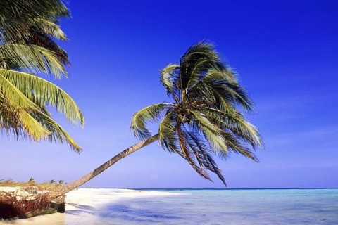 Caribbean, Caribbean, Belize, Belize, Central America