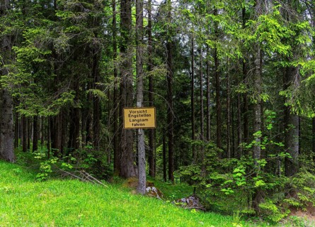 Yellow sign in the forest, ski area at the Götschen Alm, Bavaria, Germany, Europe