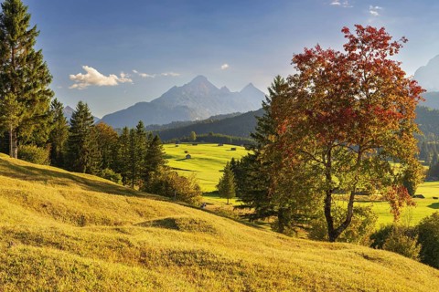 Hummock meadows between Mittenwald and Krün, Werdenfelser Land, with the Wetterstein Mountains
