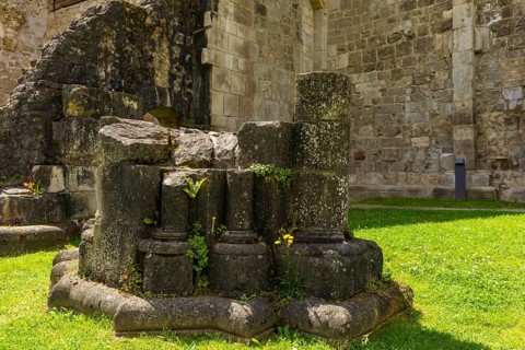 Walkenried Abbey is a former Cistercian abbey in Walkenried, situated on the southern edge of the