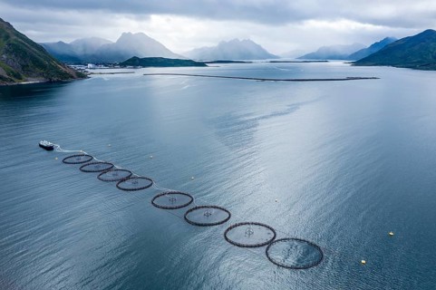 Aerial view of a salmon farm, rainy weather, grey sky, village Myre in the back, Vesteralen