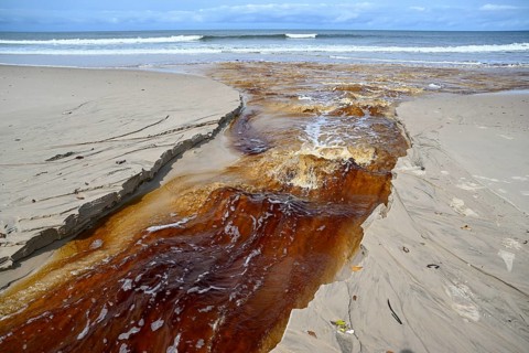 Tannic water from the Congo Basin flows into the sea, Petit Loango, Loango National Park, Parc