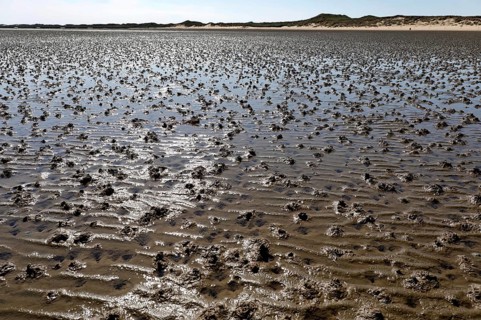 Mudflats on the island of Amrum, Norddorf, 16.06.2020