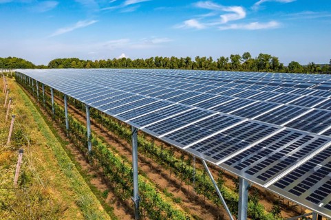 Agri-photovoltaic test plant, an apple orchard with two different systems of PV modules was roofed