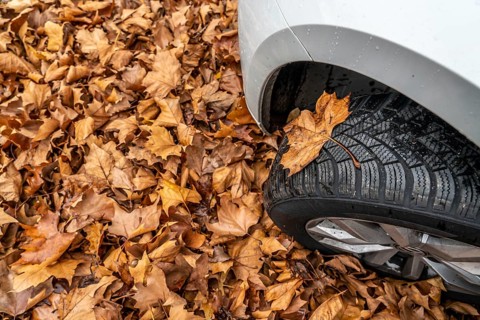 Driving on autumn leaves, slippery surfaces, leaves, grip from winter tyres