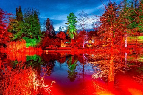 Parkleuchten, event in winter, in the Grugapark in Essen, many different light installations,