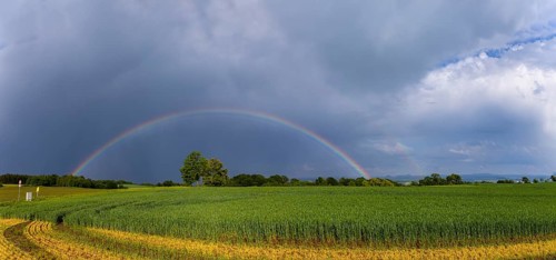 Storm on the Triebenberg near Dresden, Dresden, Saxony, Germany, Europe