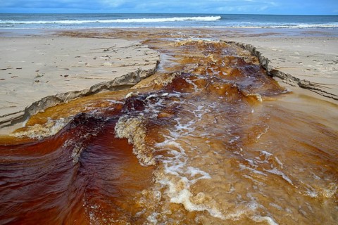 Tannic water from the Congo Basin flows into the Atlantic Ocean, Petit Loango, Loango National