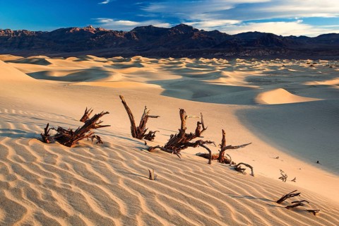 Mesquite Flats Sand Dunes, Sand Dunes, Death Valley National Park, California, USA, North America