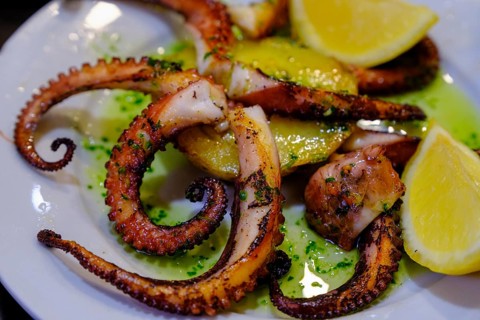 Octopus, tapas in a bar, food, Barcelona, Catalonia, Spain, Europe