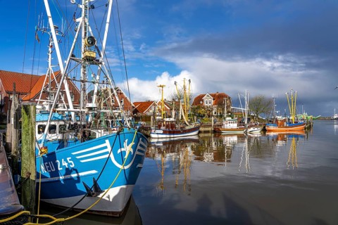 Cutter harbour Neuharlingersiel, shrimp cutter, East Frisia, Lower Saxony, Germany, Europe