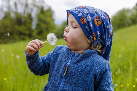 Two year old child with dandelions, Murnau, 19.05.2023