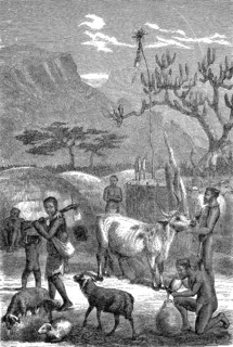 Village, Kral of the Kaffirs, South African people of the Xhosa, Bantu, South Africa in 1870,