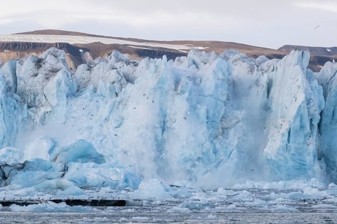 Calving glacier, calving, edge of Negribreen, Stjorfjord, Spitsbergen Island, Svalbard and Jan
