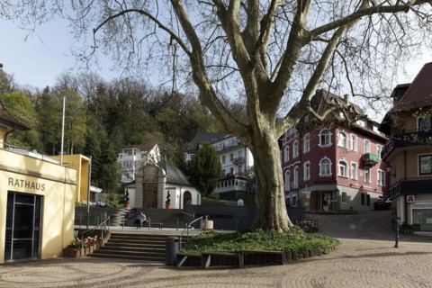 Square in the old town centre in spring, town hall and Inhalatorium pavilion, spa town of