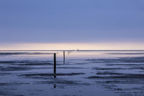 Evening mood at the North Sea, Westerhever, Schleswig-Holstein, Germany, Europe