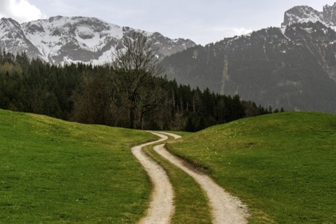 Path through meadows, near Pfronten, behind AllgÃ¤u Alps, OstallgÃ¤u, AllgÃ¤u, Bavaria, Germany,