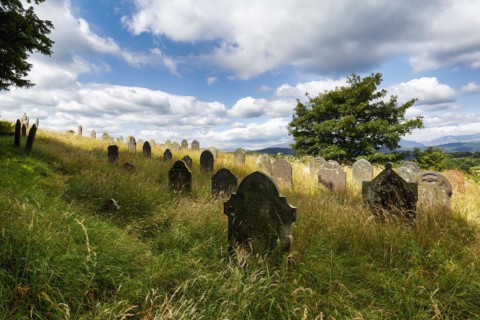 Overgrown old gravestones in a meadow, rows of graves in a cemetery, good summer weather, St