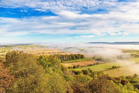 View of a patchwork landscape in the countryside with fog above the fields and beautiful autumn