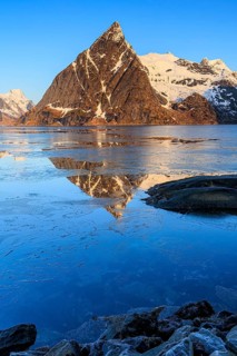 Fjord with ice floes in front of steep mountains, reflection, morning light, Kjerkfjorden, winter,
