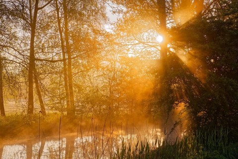 Sunlight falls through the trees onto the ditch for irrigation and drainage in Hamburg's Vier- und