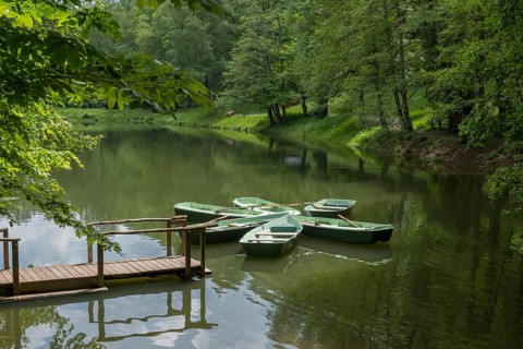 Boats anchored on the Hilschweiher, Edenkobener Tal, Palatinate Forest, Palatinate,