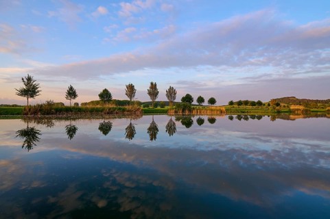 Lake in spring with row of trees and reflection at sunset, Drei Gleichen, Ilm-Kreis, Thuringia,