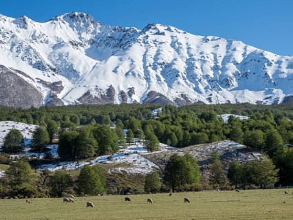 Snow-capped mountain range east of Villa Cerro Castillo, sheep grazing in a meadow, snow on hill,