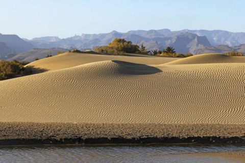 Nature reserve Dunes of Maspalomas, lagoon La Charca de Maspalomas and sand dunes in the evening