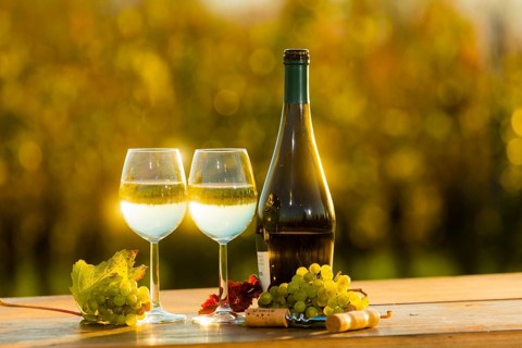 The wine-growing region of Saxony is one of the smallest and the most easterly wine-growing region