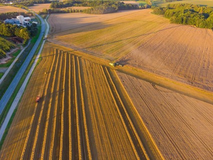 Fields of ABK Agrarbetriebsgesellschaft mbH Kriepitz