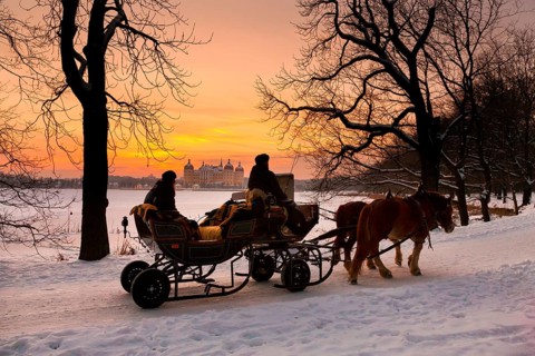 Horse-drawn sleigh ride at Moritzburg Castle