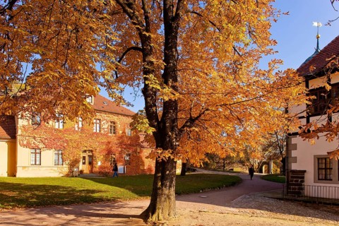 Winery Haus HoflöÃŸnitz