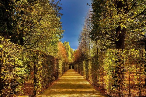 Grossedlitz Baroque Garden