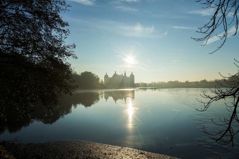 Fishing of the castle pond in Moritzburg