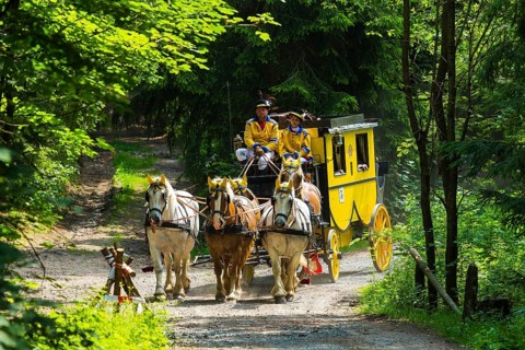 8th stagecoach meeting in Grillenburg