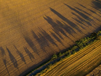 Long shadows of a row of poplars in the low sun on a summer evening near Hohnstein in Saxon